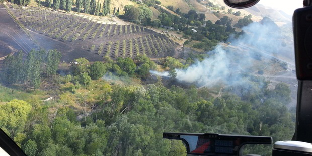 Fire rips through olive grove