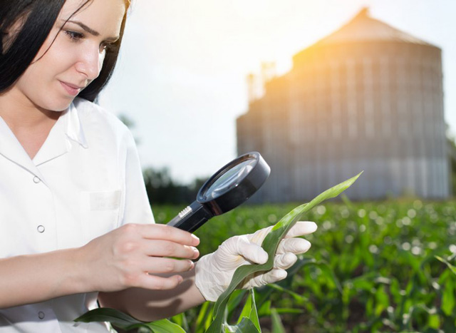 Aussie plant biosecurity gets a $21M tech injection