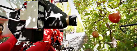 Robotic olive harvesters might be on the horizon