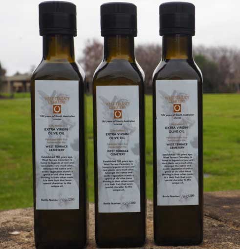 West Terrace Cemetery’s homegrown olive oil