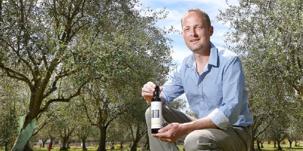 Tasmanian olive oil producers strike gold