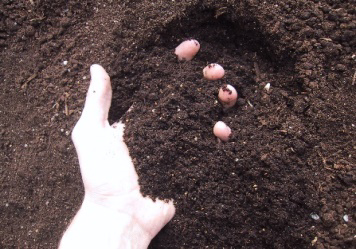 Healthy Soils Field Days to be confirmed by individual event progressively