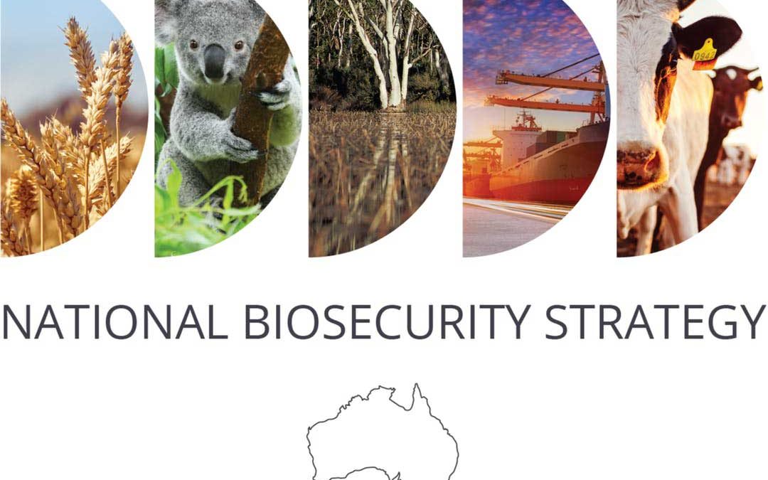 Have your say on National Biosecurity Strategy Consultation Draft