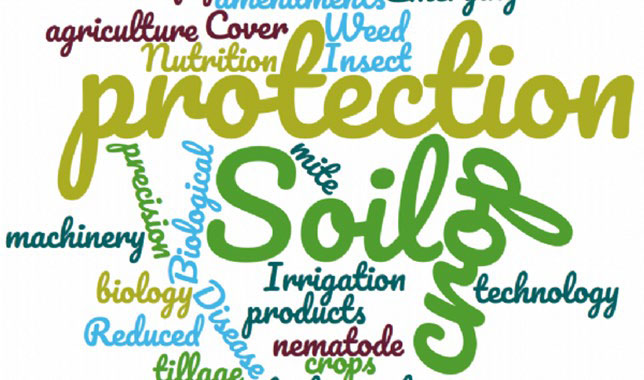 New Soil Wealth ICP project focus topics for 2022