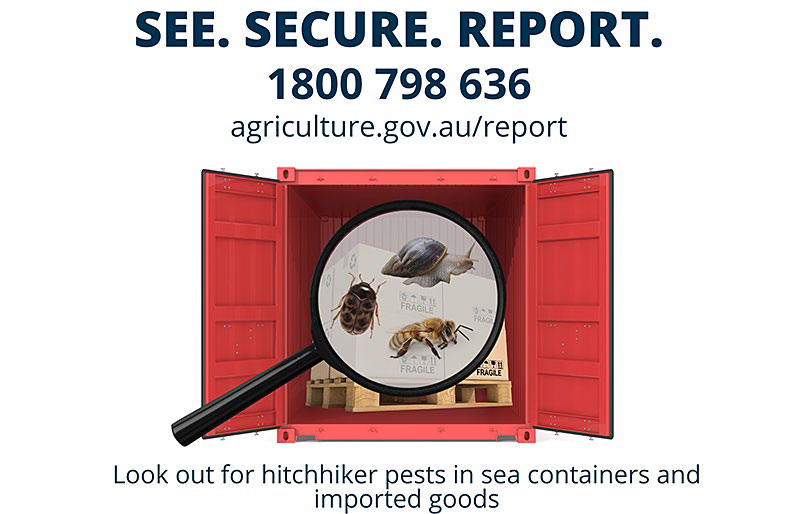 New biosecurity campaign targets hitchhiker pests