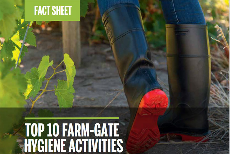Top 10 farm-gate hygiene activities