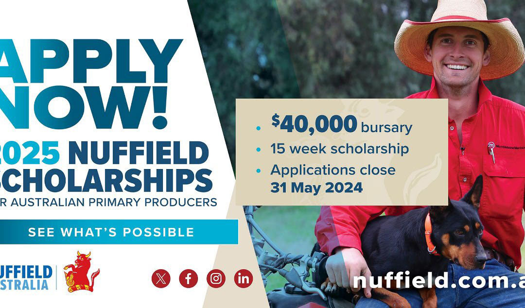 Apply now for a 2025 Nuffield Scholarship