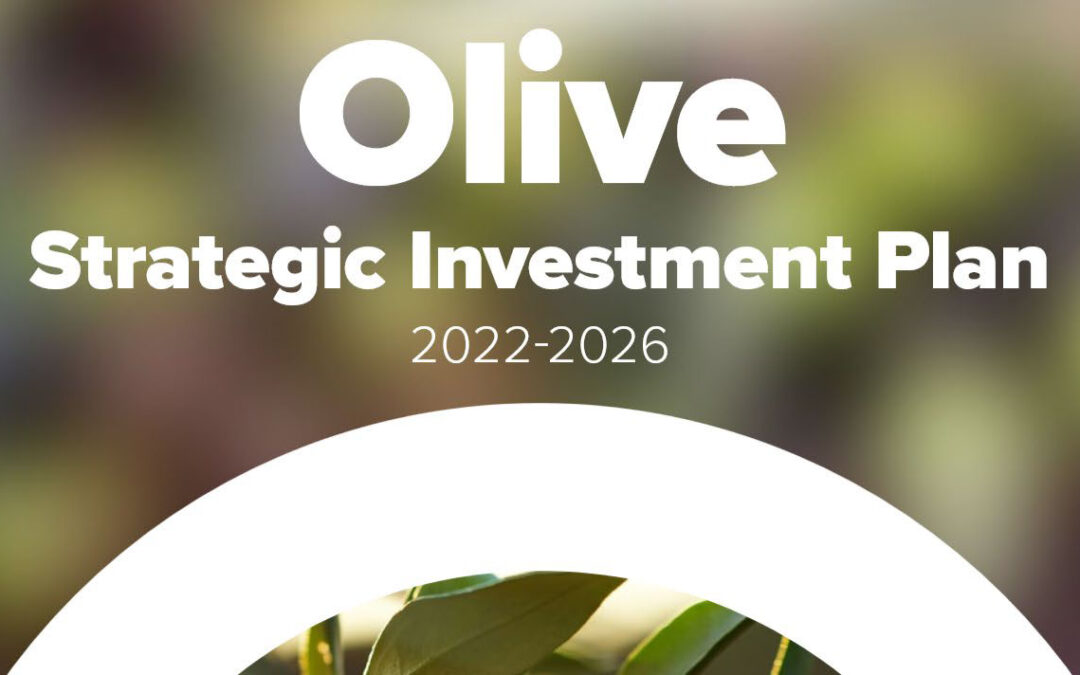 Help shape the future of the Australian olive industry: EOIs invited for Olive Strategic Industry Advisory Panel